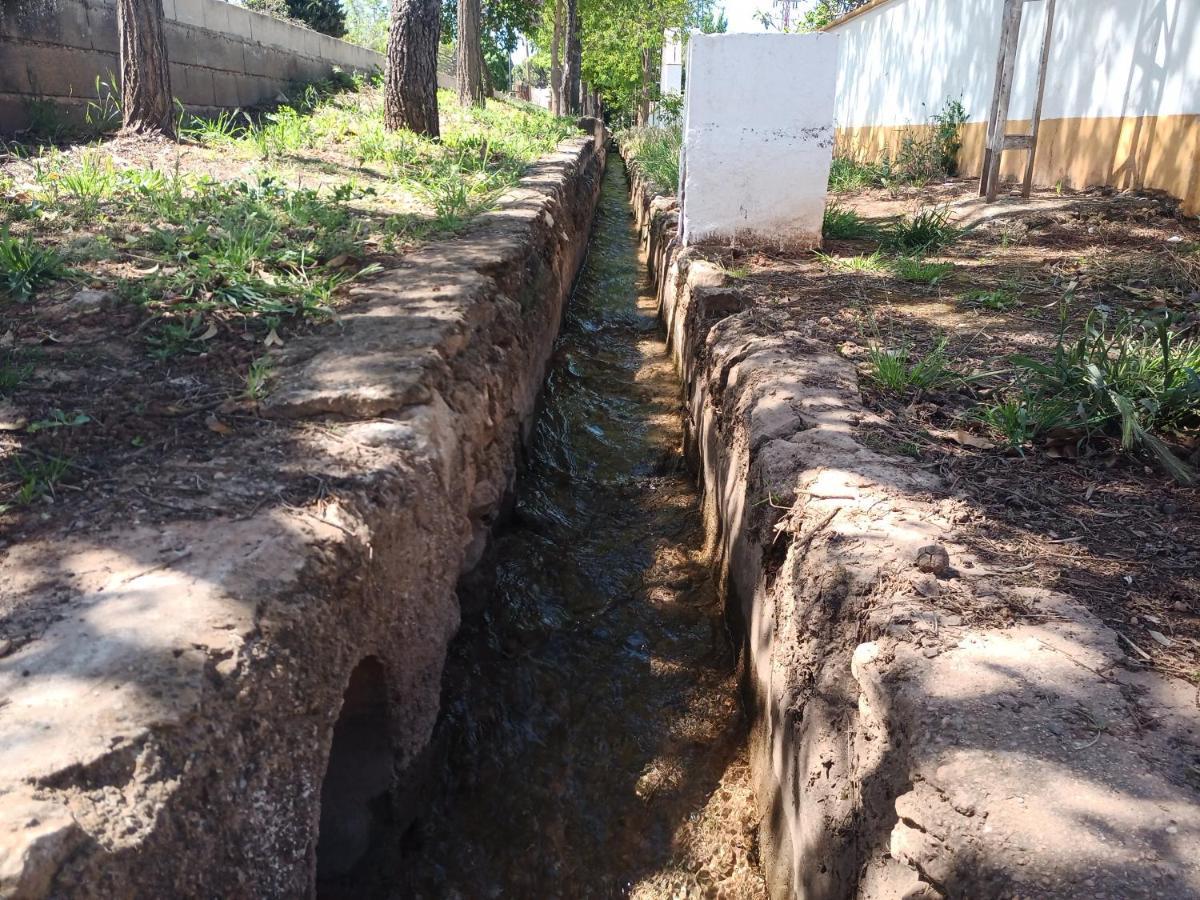 Alojamiento Rural El Ojuelo المظهر الخارجي الصورة